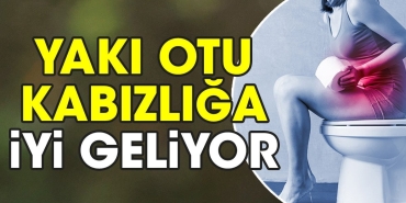 yaki-otu-kabizliga-l-geliyor-b1RqxRv5.jpg