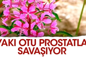 yaki-otu-prostatla-savasiyor-CFp9IOmc.jpg