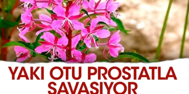 yaki-otu-prostatla-savasiyor-CFp9IOmc.jpg