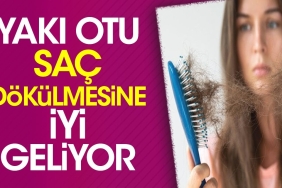 yaki-otu-sac-dokulmesine-l-geliyor-WkIW6zTp.jpg