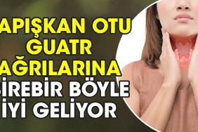 yapiskan-otu-guatr-agrilarina-birebir-bu-turlu-uygun-geliyor-BLKFCuhp.jpg