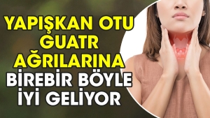 yapiskan-otu-guatr-agrilarina-birebir-bu-turlu-uygun-geliyor-BLKFCuhp.jpg