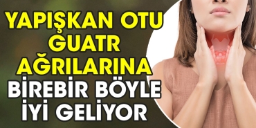 yapiskan-otu-guatr-agrilarina-birebir-bu-turlu-uygun-geliyor-BLKFCuhp.jpg