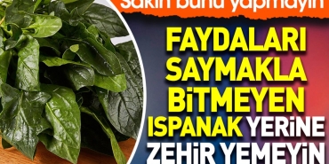yararlari-saymakla-bitmeyen-ispanak-yerine-zehir-yemeyin-sakin-bunu-yapmayin-GWTULiWH.jpg