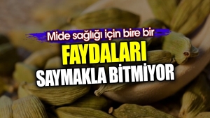 yararlari-saymakla-bitmiyor-mide-sihhati-icin-tege-bir-BMJxAisg.jpg