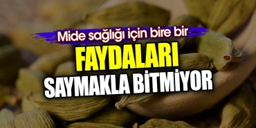 yararlari-saymakla-bitmiyor-mide-sihhati-icin-tege-bir-BMJxAisg.jpg