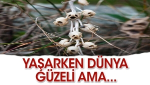 yasarken-mukemmel-solunca-canavar-OFlDLMAf.jpg