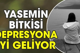 yasemin-bitkisi-depresyona-guzel-geliyor-KsXytx2s.jpg