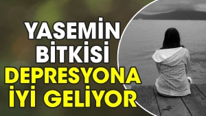 yasemin-bitkisi-depresyona-guzel-geliyor-KsXytx2s.jpg