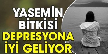 yasemin-bitkisi-depresyona-guzel-geliyor-KsXytx2s.jpg