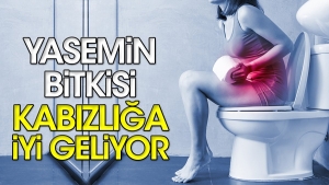 yasemin-bitkisi-kabizliga-yeterli-geliyor-huQIS4zz.jpg