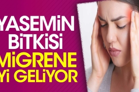 yasemin-bitkisi-migrene-duzgun-geliyor-Cz1MZnzW.jpg