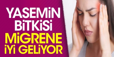 yasemin-bitkisi-migrene-duzgun-geliyor-Cz1MZnzW.jpg