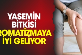yasemin-bitkisi-romatizmaya-guzel-geliyor-basnuWaP.jpg