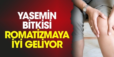 yasemin-bitkisi-romatizmaya-guzel-geliyor-basnuWaP.jpg