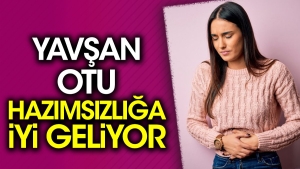 yavsan-otu-hazimsizliga-l-geliyor-GkimWjVt.jpg