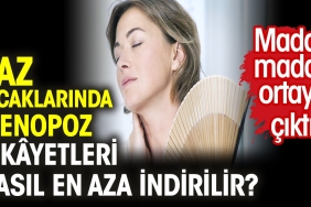 yaz-sicaklarinda-menopoz-sik-yetleri-nasil-en-aza-indirilir-husus-unsur-ortaya-cikti-qQLaDLwr.jpg