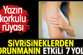 yazin-endiseli-dusu-sivrisineklerden-korunmanin-tesirli-7-yolu-vYqLUdH5.jpg