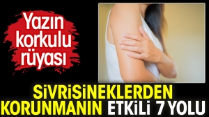 yazin-endiseli-dusu-sivrisineklerden-korunmanin-tesirli-7-yolu-vYqLUdH5.jpg