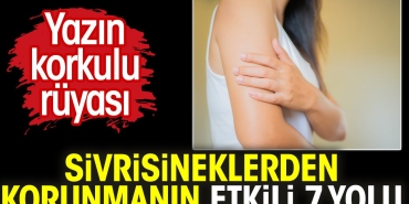 yazin-endiseli-dusu-sivrisineklerden-korunmanin-tesirli-7-yolu-vYqLUdH5.jpg