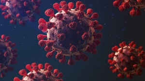 yeni-koronavirus-mutasyonu-deltacron-nedir-nasil-ortaya-cikti-29331BiX.jpg