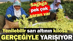 yenilebilir-sari-altinin-kilosu-gercegiyle-yarisiyor-sihhate-da-yarari-cok-lamZwr42.jpg
