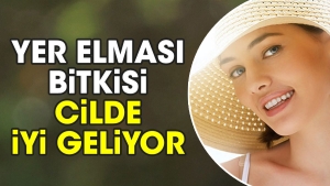 yer-elmasi-bitkisi-cilde-duzgun-geliyor-PiJr2jwO.jpg