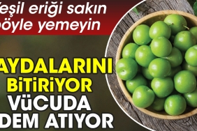 yesil-erigi-sakin-bu-turlu-yemeyin-yararlarini-bitiriyor-bedene-odem-atiyor-62PNFAsh.jpg