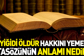 yigidi-oldur-hakkini-yeme-atasozunun-manasi-nedir-kg4ntqZg.jpg