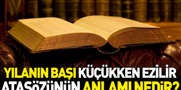 yilanin-basi-kucukken-ezilir-atasozunun-manasi-nedir-shgLQW3T.jpg
