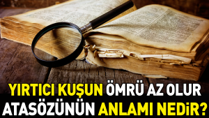yirtici-kusun-omru-az-olur-atasozunun-manasi-nedir-Rnbw8JRB.jpg