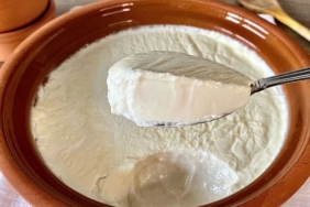yogurt-nasil-yapilir-meskende-yogurt-nasil-yapilir-dmcqYbeM.jpg