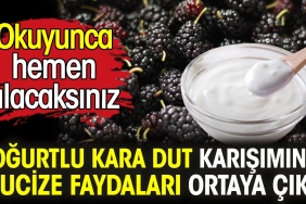 yogurtlu-kara-dut-karisiminin-mucize-yararlari-ortaya-cikti-okuyunca-cabucak-alacaksiniz-1aIYVvMc.jpg