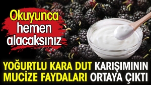 yogurtlu-kara-dut-karisiminin-mucize-yararlari-ortaya-cikti-okuyunca-cabucak-alacaksiniz-1aIYVvMc.jpg