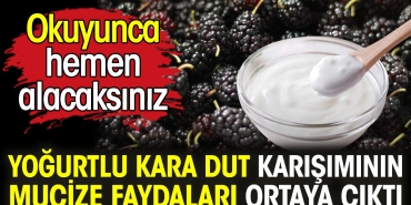 yogurtlu-kara-dut-karisiminin-mucize-yararlari-ortaya-cikti-okuyunca-cabucak-alacaksiniz-1aIYVvMc.jpg