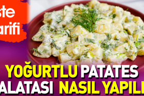 yogurtlu-patates-salatasi-nasil-yapilir-OQdjCWBp.jpg