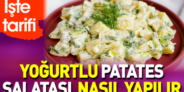 yogurtlu-patates-salatasi-nasil-yapilir-OQdjCWBp.jpg