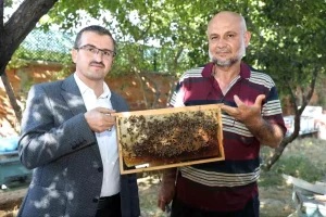 yozgatin-cekerek-ilcesinde-uysal-arilarla-tonlarca-bal-uretiliyor-5YFDasOy.jpg