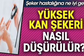 yuksek-kan-sekeri-nasil-dusurulur-seker-hastaligina-ne-l-gelir-69IQM4tc.jpg