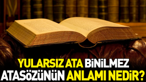 yularsiz-cet-binilmez-atasozunun-manasi-nedir-sLZluZAU.jpg