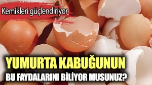 yumurta-kabugunun-yararlari-neler-yumurta-kabugu-nasil-ne-ise-fayda-g7V3Dgjv.jpg