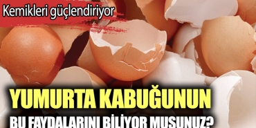 yumurta-kabugunun-yararlari-neler-yumurta-kabugu-nasil-ne-ise-fayda-g7V3Dgjv.jpg
