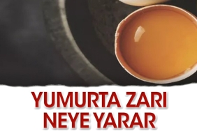 yumurta-kabugunun-zari-nelere-guzel-gelir-KPfY96p6.jpg