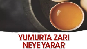 yumurta-kabugunun-zari-nelere-l-gelir-jGgpZq82.jpg