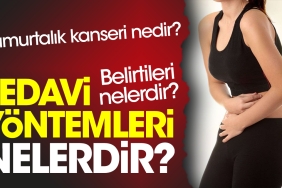 yumurtalik-kanseri-nedir-belirtileri-nelerdir-tedavi-sistemleri-nelerdir-RuOwn5DS.jpg