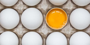 yumurtanin-yararlari-yumurta-bedenimizde-neye-uygun-gelir-iste-yumurtanin-vitaminleri-AWy6yZAO.jpg
