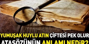 yumusak-huylu-atin-ciftesi-pek-olur-atasozunun-manasi-nedir-O3cCBDAV.jpg