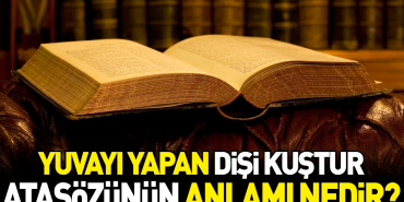 yuvayi-yapan-disi-kustur-atasozunun-manasi-nedir-7W4vVdWL.jpg