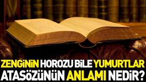 zenginin-horozu-bile-yumurtlar-atasozunun-manasi-nedir-5RgxqHXY.jpg