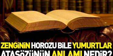 zenginin-horozu-bile-yumurtlar-atasozunun-manasi-nedir-5RgxqHXY.jpg